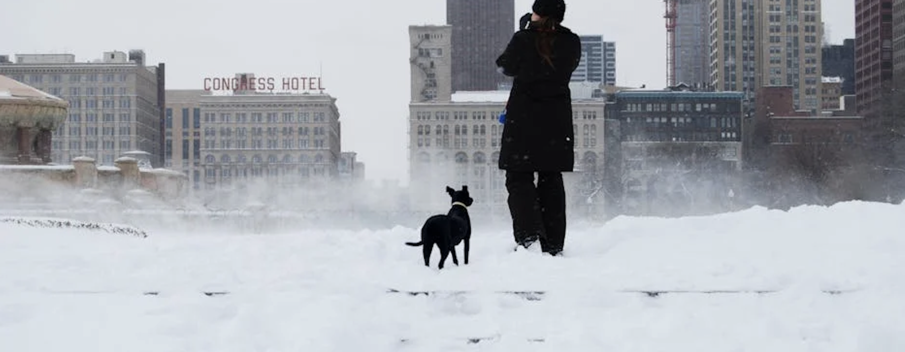 Chicago skyline with dogs - apartments for rent in chicago pet friendly