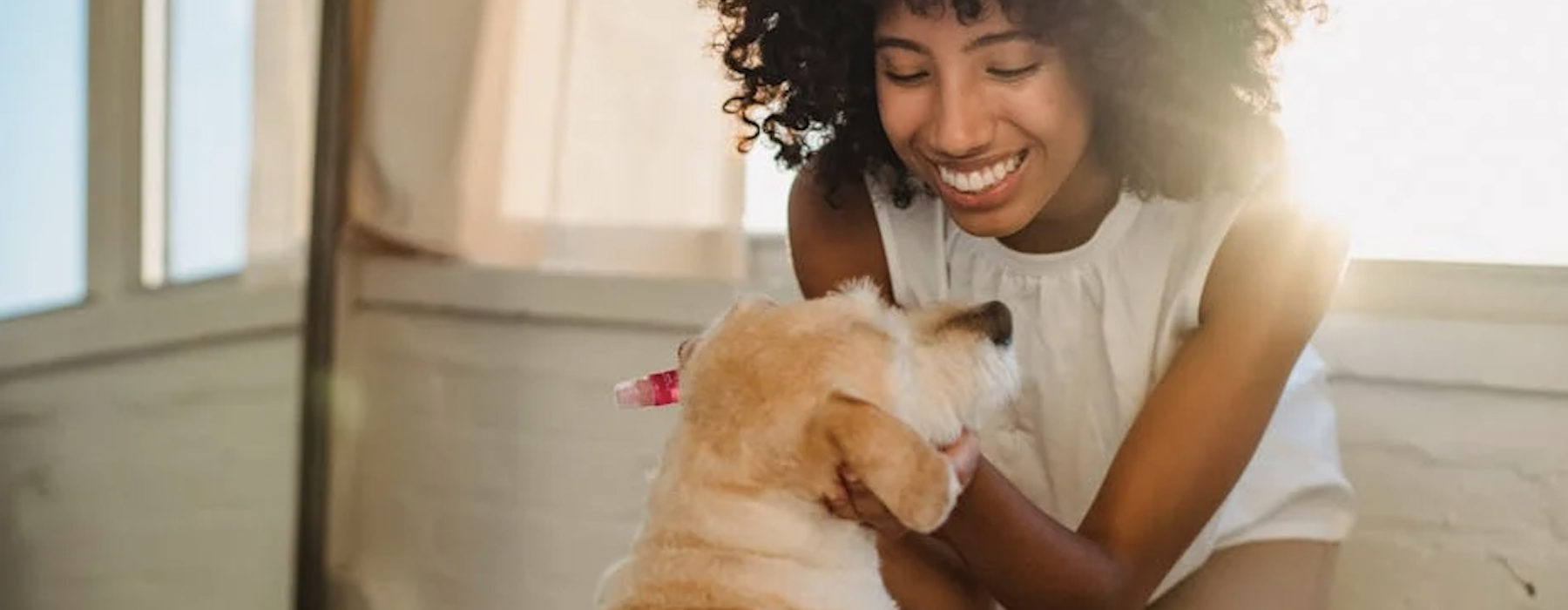 pet friendly apartment for rent - pet friendly apartment for rent