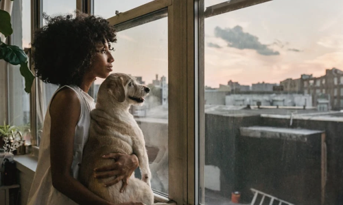 dog friendly apartments downtown chicago - dog friendly apartments downtown chicago