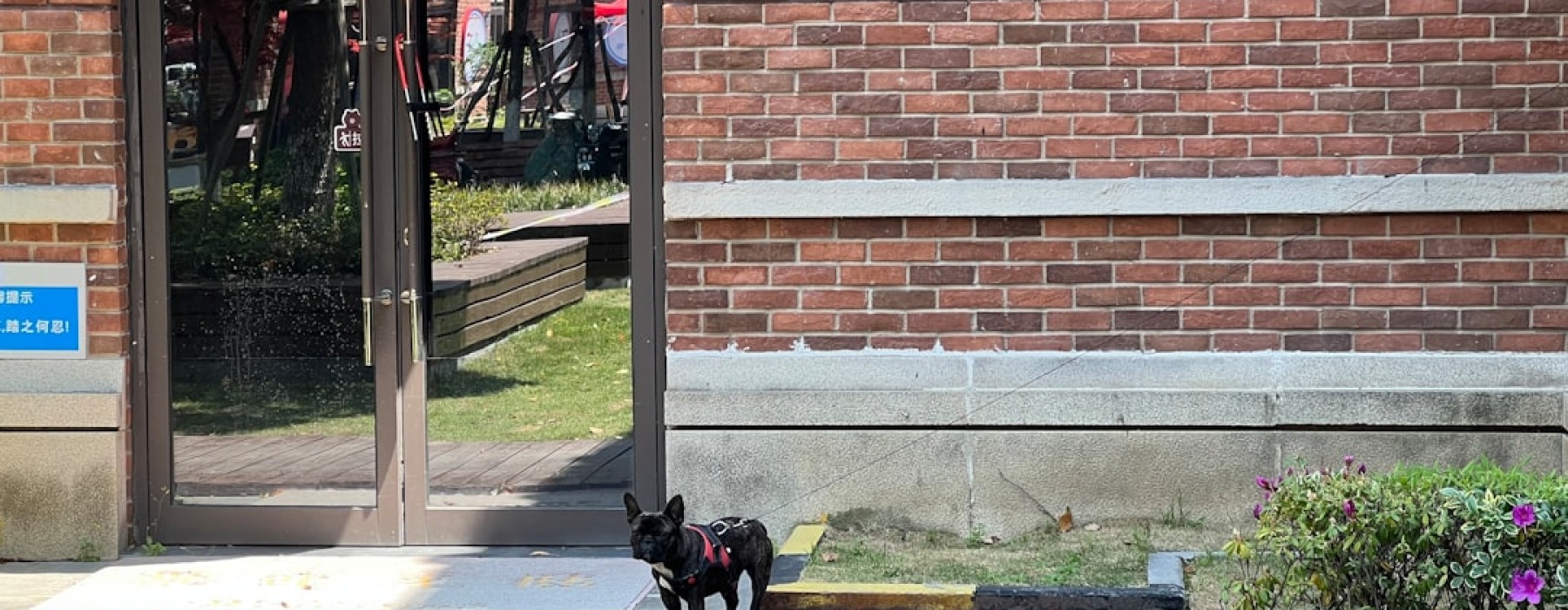 pet friendly apartments in brighton park chicago - pet friendly apartments in brighton park chicago