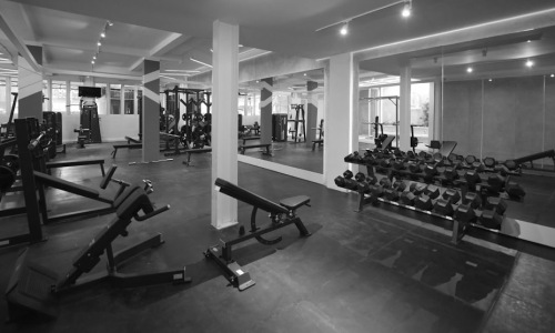 gym membership west loop - gym membership west loop