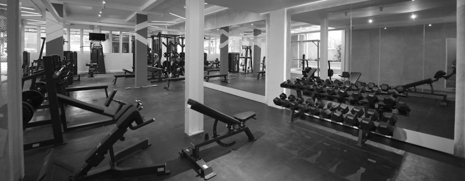 gym membership west loop - gym membership west loop