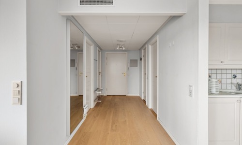 modern apartment with hardwood floors - Apartments with hardwood floors